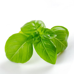 fresh basil leaves