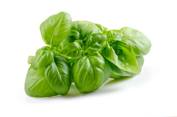 fresh basil leaves