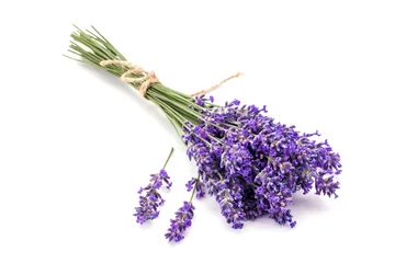 Foto op Plexiglas Lavendel Lavendel