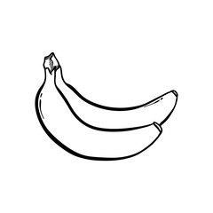 2 Banana Hand drawn Icon Vector Organic Drawing Line Art Silhouette