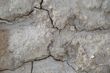 nude arse soil after rainy days