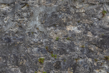 Obraz premium Background with old stone wall