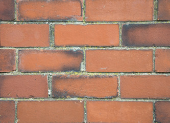 red brick wall background