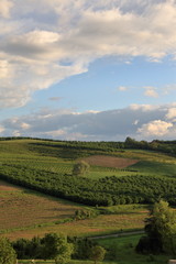 countryside in a spring afternoon