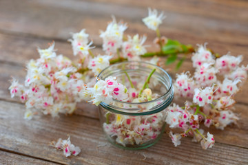 Weiße Kastanienblüten im Glas