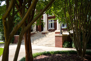 Steps and trees