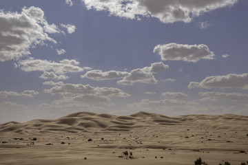 Fototapeta na wymiar Sand dunes in Sahara desert, Algeria