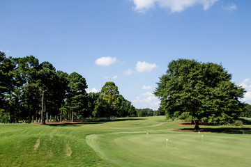 Golf Course Landscape with trees
