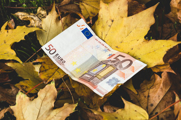 Bill of 50 Euro lies on the yellow fallen autumn leaves,  concept of reducing the price of Euro