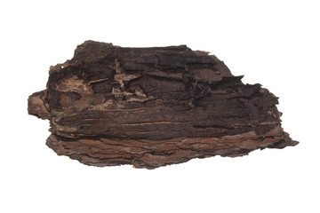 tree bark isolated on white background