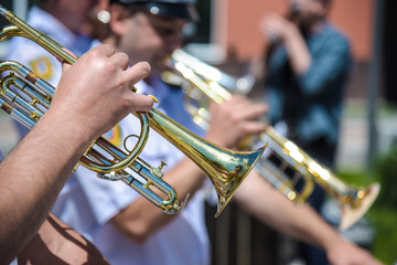 Fototapeta premium alto-soprano register trumpet