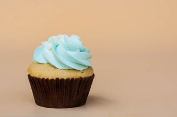 sweet cup cake dessert on yellow background and copy space