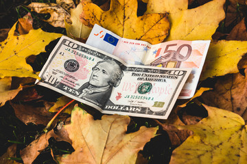 Dollars and euros lie on a yellow fallen autumn leaf, concept of reducing the price of Euro and dollar