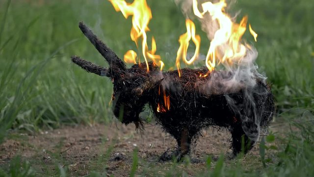 Pagan ritual of burning hay goat