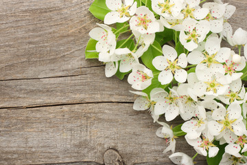 Fototapeta na wymiar white cherry blossoms on old wooden background. top view