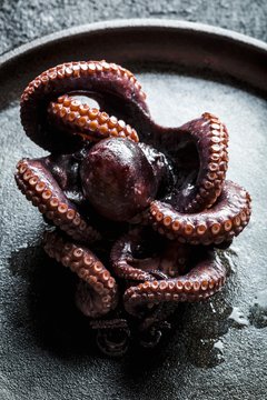 Octopus in black pan