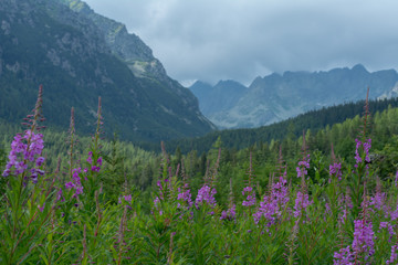 Tatra National Park, Slovakia, Popradske pleso