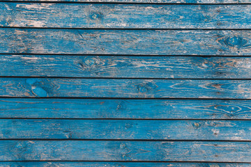 The blue wood texture with natural patterns. Fashionable youth background texture. Cracked paint.