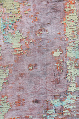 The green wood texture.Abstract concept of split, dissent, disagreement, discord, old age, time,...