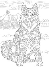 Fototapeta na wymiar Alaskan Malamute or Siberian Husky. Eskimo Dog. Coloring Page. Adult Coloring Book idea.