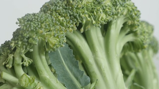 Healthy green Brassica oleracea broccoli close-up  footage