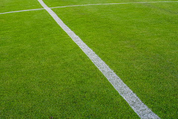 Soccer field or football field background.