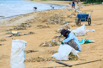 Men are collecting lots of trash blow from  sea to the beach.