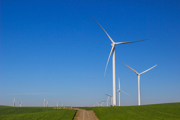 Fototapeta premium Rows Of Energy Producing Windmills On Energy Farm