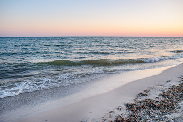 a wild beach and a pigeon sea water on a lovely sunny day