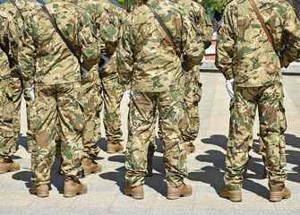 Soldiers standing in a row at the military parade