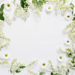 Cherry flowers on a white background, top view, flat layout. concept spring, summer, Mother's Day holidays, March 8. Flowering bird cherry.