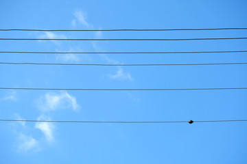 Electric wires against blue sky and few clouds background.