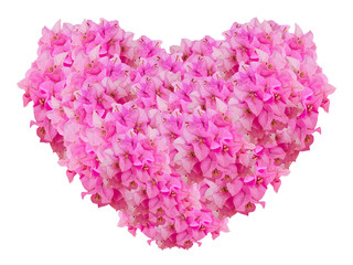 Pink Bouginvillea flower heart shape isolated  for valentine's day on white background with clipping path for easy die cut
