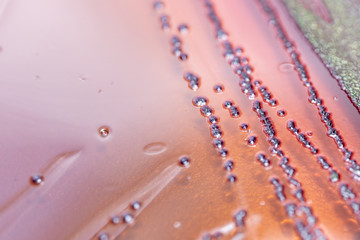 Colony Characteristics of Escherichia coli (E. coli) is a Gram-negative, facultatively anaerobic, rod-shaped, coliform bacterium of the genus Escherichia that is commonly found in the lower intestine.