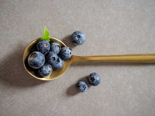 Fresh blueberries on a gold spoon on a gray background