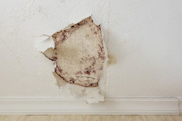 Pintura descascarada en la pared por la fuga de agua en el techo de escayola del baño