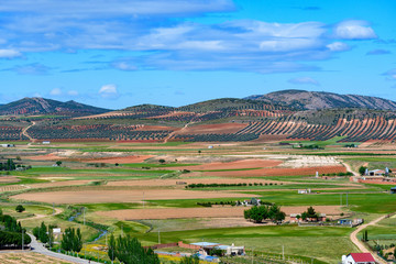 Spain. Castilla de la Mancha.Consuegra. Fields seen from the Calderico hill.