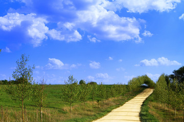 Fototapeta na wymiar Beautiful yellow sand lane in countryside, green meadow on deep blue sky with clouds