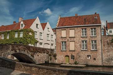Naklejka premium Bridge and brick buildings with creeper on the canal's edge in a sunny day at Bruges. With many canals and old buildings, this graceful town is a World Heritage Site of Unesco. Northwestern Belgium.