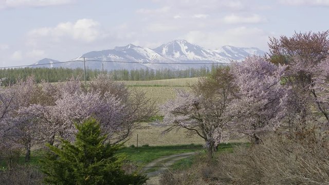 春の北海道