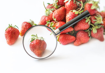 Fresh summer strawberries on a white background under a magnifying glass. The concept of healthy food and environmentally friendly products.