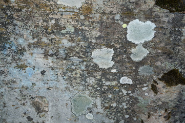 Stone texture or background.