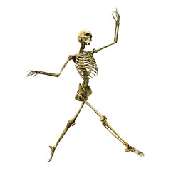 3D Rendering Human Skeleton on White