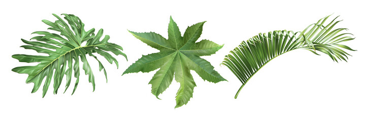 Tropic leaves set © purplebird