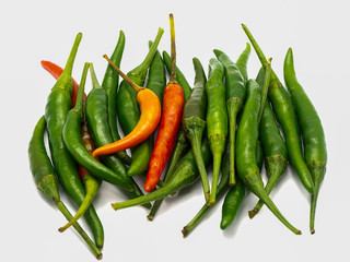 fresh red and green chilli..
