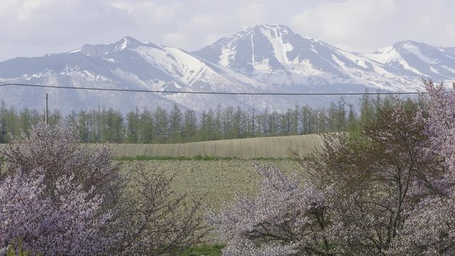 春の北海道