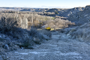 Camino de as Carcavas en Morata.