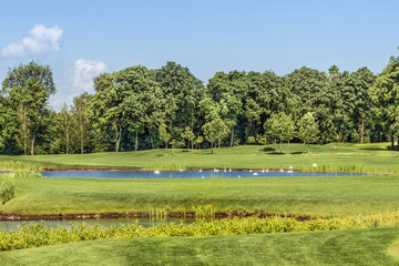 Beautiful lake with birds on the golf course in Mezhigirje near Kiev, Ukraine.