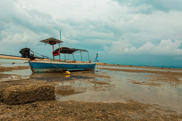 Obraz premium Local long-tail boat parked at the mangrove forest on low tide 