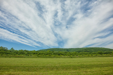 Fototapeta na wymiar Green field against the sky with big clouds